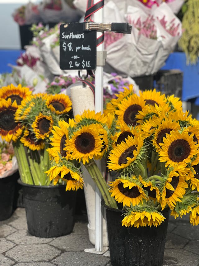 Best Farmer’s Markets